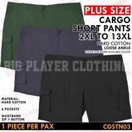 Short Pants Cargo Plus Size 6 Pockets Plain TN 03 code CGSTN03