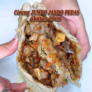 Jumbo Cireng size XL 20cm 1 palm of adults more cireng chicken shredded jando spicy intestines melte