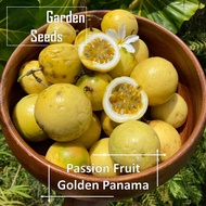 Panama Gold Passion Fruit Seeds - 50 Seed *Pot Friendly* Tanam Pasu Buah Markisa Kuning 巴拿马黄金百香果 - M