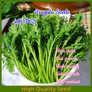 Arugula Seeds（400seeds）Arugula Italian Cress Seeds Rocket Arugula 100% Organic, Non-GMO