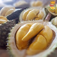 DURIAN MUSANG KING FRESH UTUH MASIH ADA KULITNYA KUALITAS PREMIUM