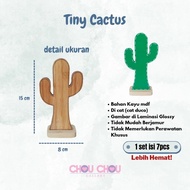 Cactus Display (Tiny Cactus)