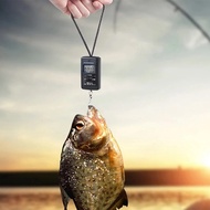 Compact 40Kg Digital Luggage Scale with LCD Display