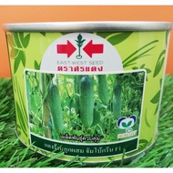 Benih Timun East West Thailand Cucumber Seeds From Thailand 50gram 1600 seeds Benih Timun Panah Mera