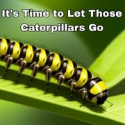 It's Time to Let Those Caterpillars Go Robert Mckey