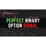 Perfect Binary Signal Indicator