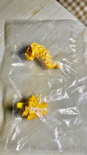 巴奧 魔法小神童加旋 加旋 清麻呂 扭蛋 日本限定