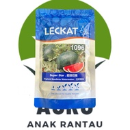 100g 1096 SUPER STAR LECKAT BIJI BENIH TEMBIKAI BOCI MADU TANPA BIJI F1 HYBRID TRIPLOID SEEDLESS
