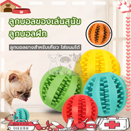 ของเล่นใส่อาหารสัตว์ ถังใส่อาหารสัตว์เลี้ยง ของเล่นสุนัข ของเล่นแมว ของเล่นขัดฟันสุนัข ลูกบอลสุนัข สามารถใส่อาหารได้