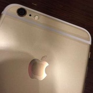 Apple Iphone6 Plus 64G 金色 I6 Plus
