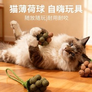 猫玩具猫薄荷葡萄逗猫自嗨解闷神器猫猫小猫逗猫棒宠物猫咪磨牙niqukanta2.my 2026.3.20Cat Toy Catnip Grape Teaser for Cats, a Self-ent