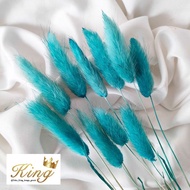 Dried Candy Colour Lagurus Rabbit/ Bunny Tail Cream White Bunga Kering - BLUE