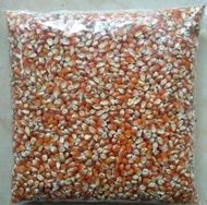 Jagung merah | Jagung Kristal | Jagung Madura | pakan Merpati dll | kemasan 500 gram