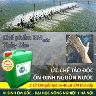 Chế phẩm EM gốc. Men Vi Sinh chuẩn của Đại Học Nông Nghiệp 1 Hà Nội. Từ 1 lít EM1 sản xuất ra 40 lít