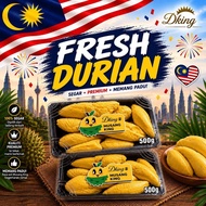【InstantDelivery KLSeL 】 FRESH Durian Pulp Flesh only | Siap Kopek Berat Isi sahaja  |  Blackthorn  