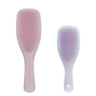 Tangle Teezer Wet Detangler & Mini Brush Set
