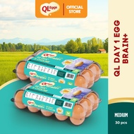 QL Brain+  Day 1 Egg - Medium 30pcs Fresh Egg Farm Fresh Egg Telur Segar