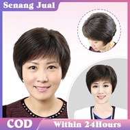 Wig Wanita Rambut Asli Rambut Palsu Untuk Wanita Paruh Baya Dan Lanjut Usia / Rambut Palsu Kemoterap