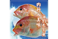 海釣赤鯮魚 300g±10%