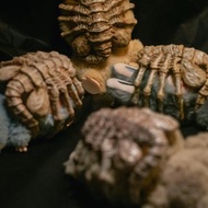 Labubu 異形抱臉蟲面罩配件, Labubu Alien Facehugger Mask