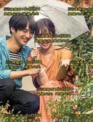 DVD 韓劇【愛情的溫度】2017年韓語/中文字幕