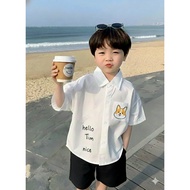 JUly kid short-sleeved shirt + khakiShorts set for stylish boys. Baby Size from 14 to 37kg
