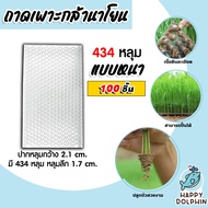 ถาดเพาะกล้านาโยน 434 หลุม (หนา) แพ็ค 100 ชิ้น ถาดเพาะปลูก ถาดเพาะกล้า กล้านาโยน ถาดเพาะนาโยน เพาะกล้