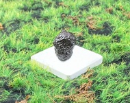 天然埃及預言石造型原礦 心靈平靜石 平撫情緒 快速出貨