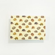 【陸龜先生】水彩插畫 花樣明信片 手帳 爬蟲 自然 蘇卡達 烏龜