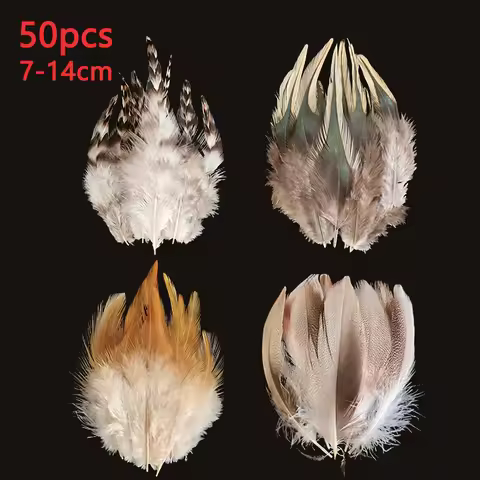 50pcs 7-14cm Two Tone Ringneck Pheasant Chicken Lady Amherst Plume Feathers Bulk Long For Crafts Car