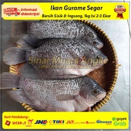 Ikan Gurame FRESH 1kg isi 3-4ekor/ gurame ikan air tawar segar