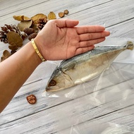 ปลาทูมัน ดอกเกลือ แม่กลอง ไซส์ 210-400 กรัม เค็มน้อย 💥พร้อมส่ง💥
