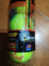 美國製造Penn Championship 網球