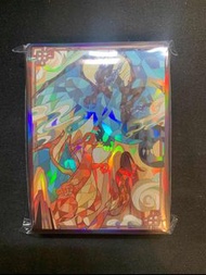 噴火龍卡套