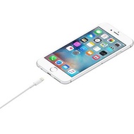 Apple Iphone 蘋果原廠 充電線 豆腐頭 Lightning 對 USB 連接線 (1 公尺) 全新 可議價