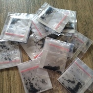 TIMEX Retail Sachets