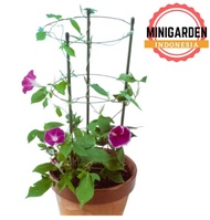 FLOWER SUPPORT 75 cm green tower ajir lingkar penyangga tanaman rambat DIAMETER 8MM