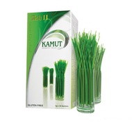 ASH II  KAMUT  [高麦草]