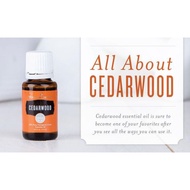Cedarwood 15ml YL Essential Oil