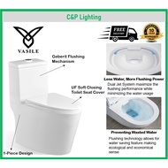 Vasile Rimless 1 Piece WC Toilet Bowl with Geberit Flushing Mechanism V-599