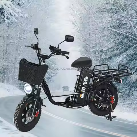 Clark is hot selling Fast-selling High Performance Adults E-bike 50.8 cm Thick Tire Folding Electric