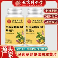 -Spot goods北京同仁堂马齿苋地龙蛋白双黄片72g瓶装便携直发 一 Tongrentang Portulaca Oleracea and Dragon Protein Double Yello