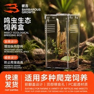 Jumping Spider Breeding Box High Transparent Transparent Plastic Reptile Tank Pet Spider Beetle Mant