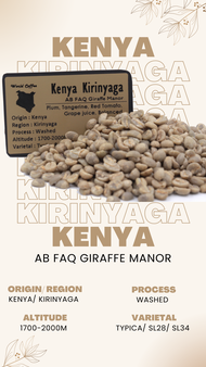 พร้อมส่ง เมล็ดกาแฟดิบ Kenya Kirinyaga Washed process/ เมล็ดกาแฟนอก/ เมล็ดกาแฟสารเคนย่า