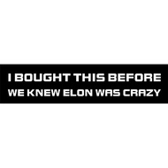 I Bought This Before We Knew Elon was Crazy Car Bumper Sticker Decals, Anti Elon Sticker for Tesla O