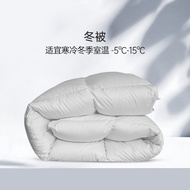 95% White Goose Down Quilt Temperature Controlled Duvet Winter Quilt Spring Quilts Thickened Quilt C
