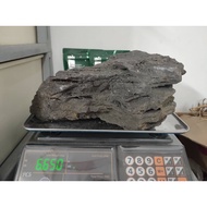 ADA Sansui Stone, Aquascape Stone (Big Size)