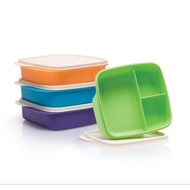 Tupperware Square Divided Lunch Box