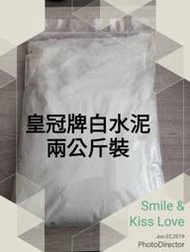 【微景小舖】皇冠白水泥 水泥白色 白細砂 資生堂 TST石膏粉 填縫 補牆 白色水泥 DIY水泥花盆 擴香石 手工材料