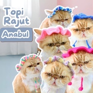 Cute Knitted Cat Hat for Cats and Puppies knitted cat hat cat hat